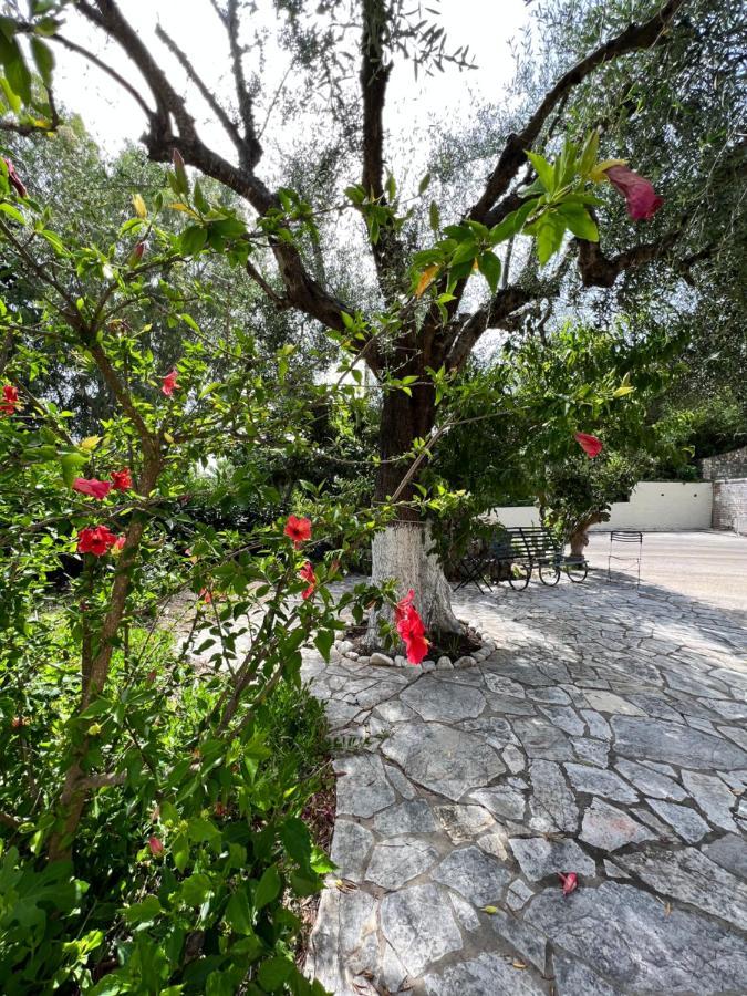 Lithino Apartments - 5Min From The Beach アギオス・イオアニス・ペリステリオン エクステリア 写真